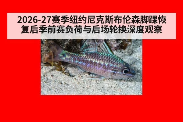 2026-27赛季纽约尼克斯布伦森脚踝恢复后季前赛负荷与后场轮换深度观察